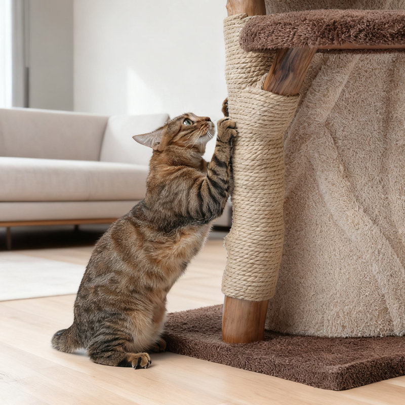 Étagère pour chat 44 po H
