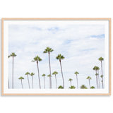Montecito Palms Print by Carly Tabak