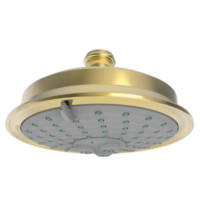 Multi Function Fixed Shower Head