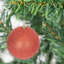 Polyvinyl Chloride (PVC) Ball Ornament-952480355-952480378