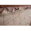Tapis marocain Trellis