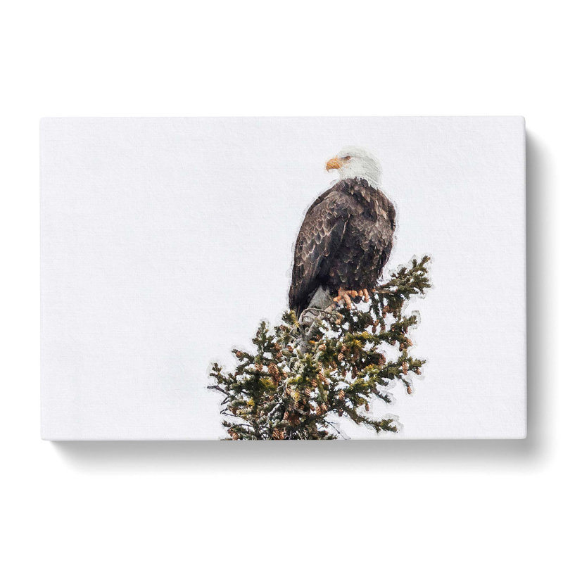 Bald Eagle High In A Tree - Wrapped Canvas Painting, 35cm H x 50cm W x 3cm D