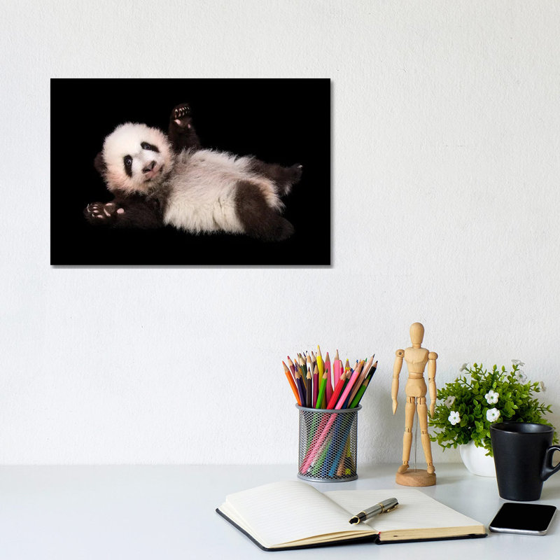 An Endangered And Federally Endangered Giant Panda Cub At Zoo Atlanta by Joel Sartore - Gallery-Wrapped Canvas Giclée on Canvas