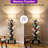 Sindel 6-Tier Tree Bookshelf With Lighting and Remote Control-1014479005