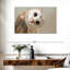 Oiseau effraie des clochers-107933504