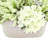 Assorted Hydrangea and Heather Arrangement-169039035