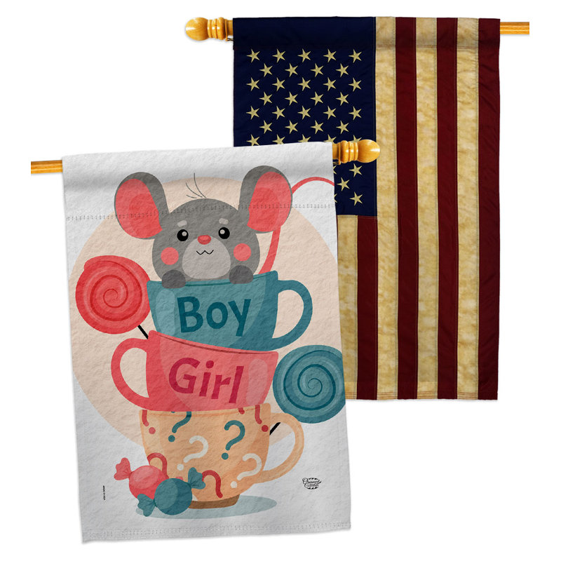 Drapeau de maison en polyester 2 côtés 3 pi 3 po x 2 pi