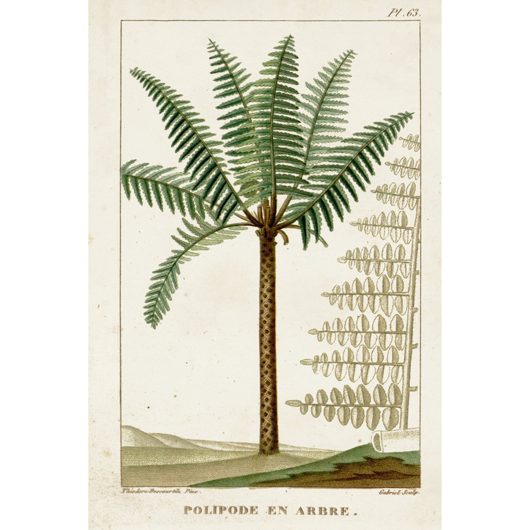 Exotic Palms III by Turpin - Wrapped Canvas Art Prints