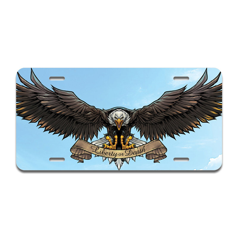 Cadre en aluminium American Eagle Sky