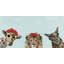 Wrapped Canvas Painting-34960329