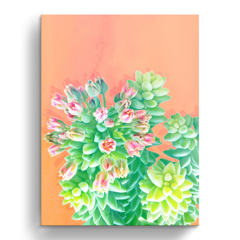 « fraîche growth », impression sur toile succulent, H 16 po x l 12 po x P 1,5 po, Toile tendue