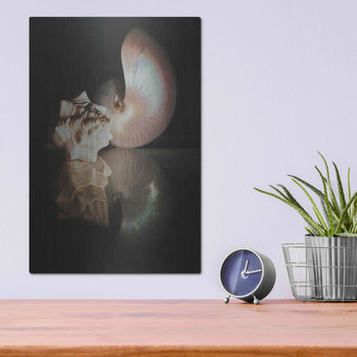 «Pearl Nautilus» par Cecile Baird