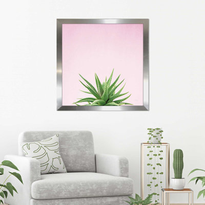 Photographie sur toile encadrée succulent simplicité