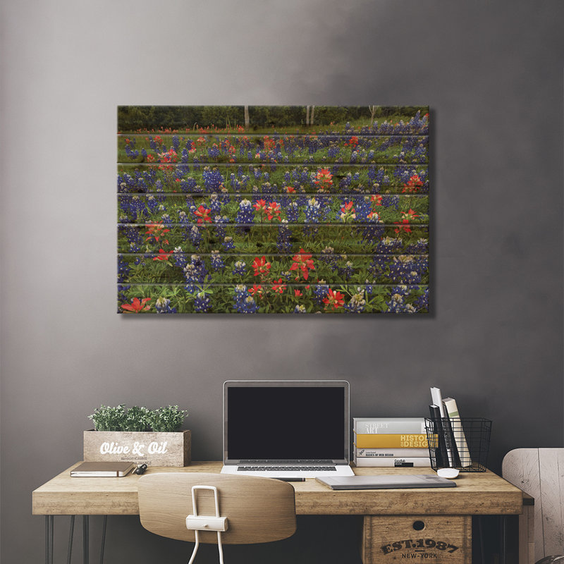 Bluebonnet et Paintbrush Meadow, Cedar Hill State Park, Texas, H 26 po x l 40 po x P 1,5 po