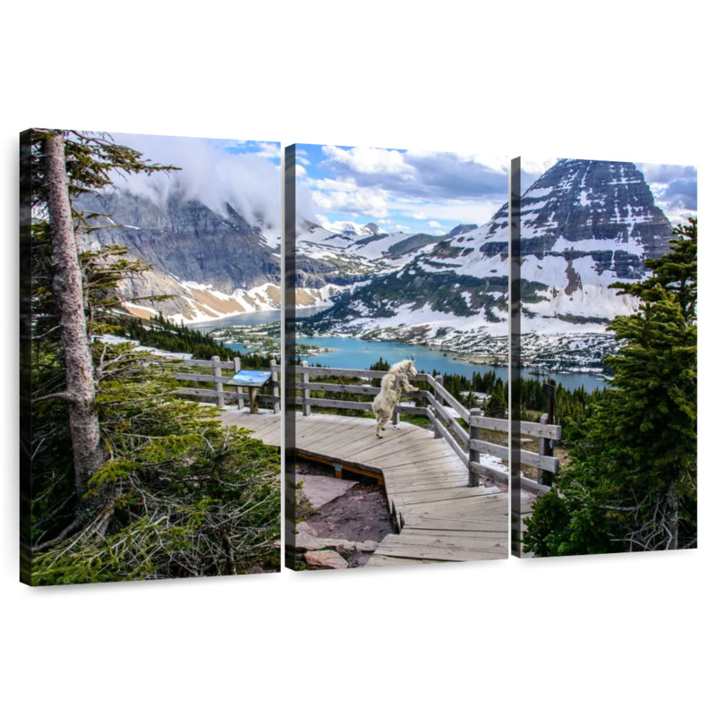 Alvord Glacier Park Mountain Goat, 24" H x 38" W