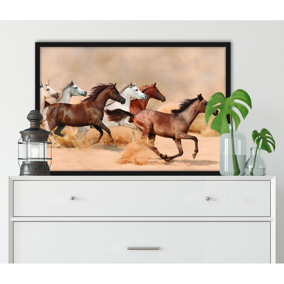 Gerahmtes Poster Western Horses in Desert