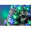 2' H Lighted Artificial Christmas Tree