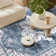 Machine Washable Non-Slip Blue Oriental Area Rug