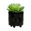 Jardinières texturées S / 2 6/8 po-1745971879