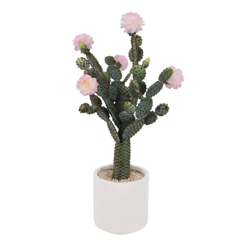 82cm Plant