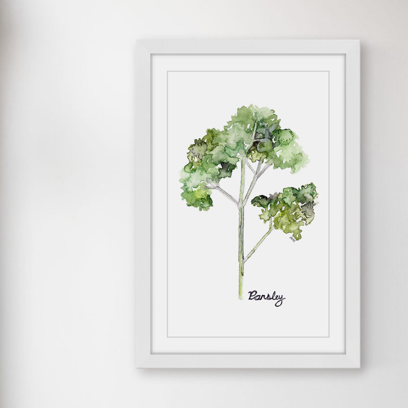 « herb parsley », reproduction d’art sur papier encadrée, H 24 po x l 16 po x P 1,5 po