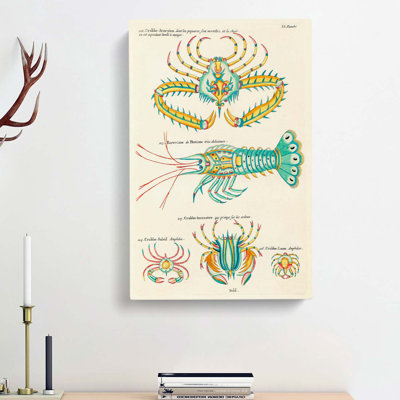 East Indies Lobster & Crab Illustrations LI by Louis Renard - Wrapped Canvas Painting