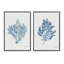 "Blueprints de la nature, ensemble de 2" 2 pièces-166522674-166522675