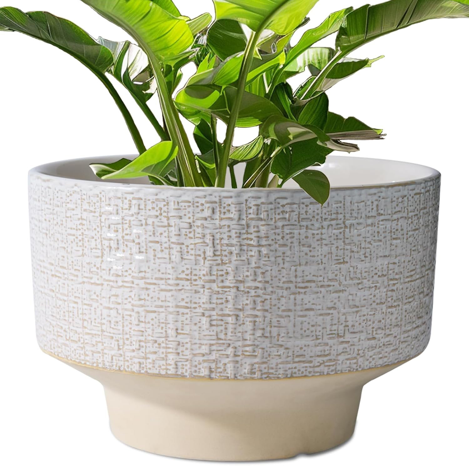 white plastic plant containers Clear Nursery Pot with Interlocking Saucer – Durable Transparent Plant –  Urbane Eight Inc