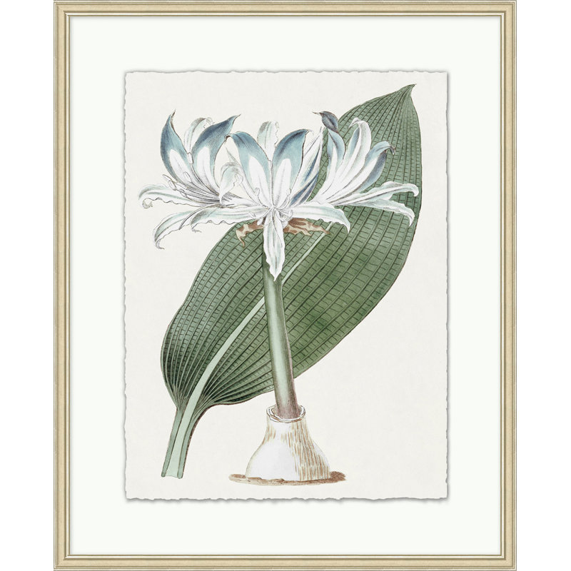 Achromatic Fleur 3 Print