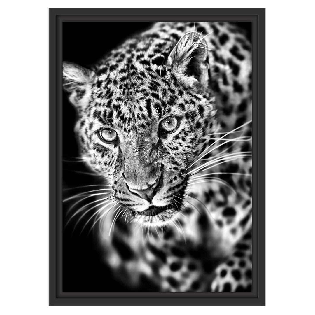 Gerahmtes Wandbild Anmutiger Leopard