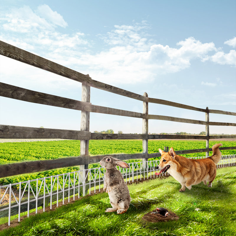 White metal anti-digging garden fence installed along a lawn to deter animals.