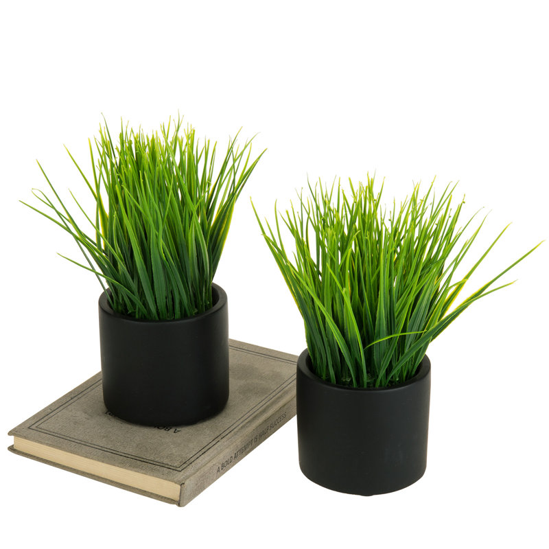 7.87'' Faux Grass in Cement Pot, Black