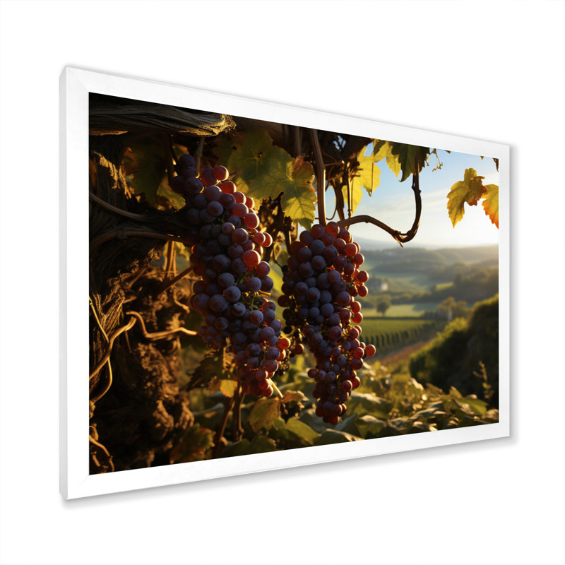 Raisins mauves, attrape-rêves sur toile, H 34 po x l 44 po x P 1,5 po, Cadre photo blanc