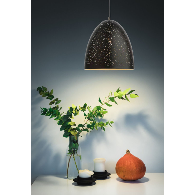 Brazos 1 - Light Bell Pendant, Black