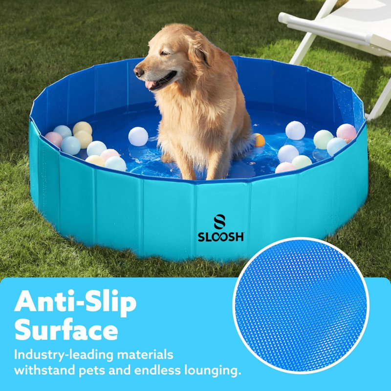 Piscine pliable pour chien Kiddie