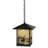 Rustic Lodge 1 - Light Black Lantern Pendant