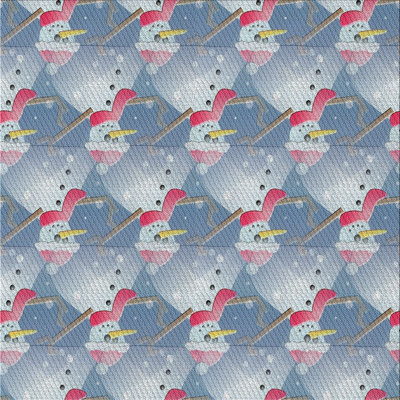 Indoor Rug