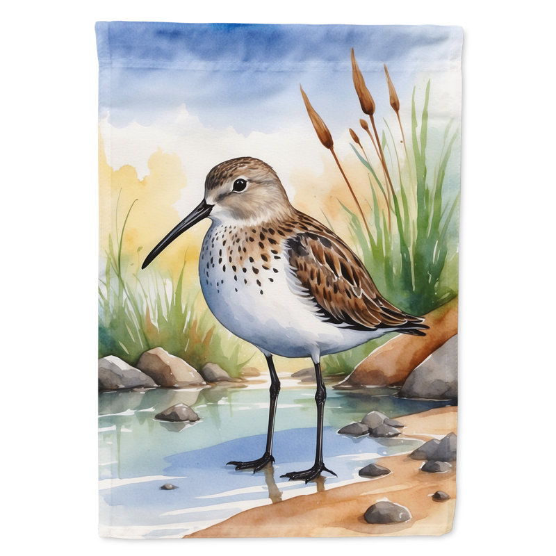 Drapeau de jardin Surfbird Bird, Dunlin