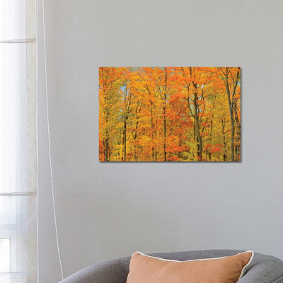 Canada, Ontario, Manitoulin Island by Jaynes Gallery - Wrapped Canvas Print