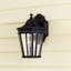 Tibbett 29.2cm H Outdoor Wall Lantern-16291990