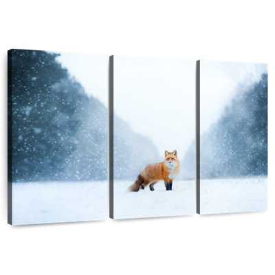 Renard roux dans la neige