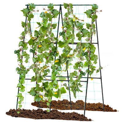 126cm W Metal Arched Trellis