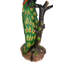 Patine spéciale Ellenmarie Peacock