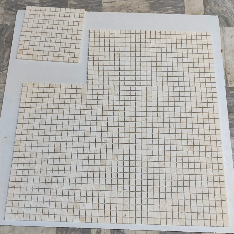 1x1 SHELL STONE HONED