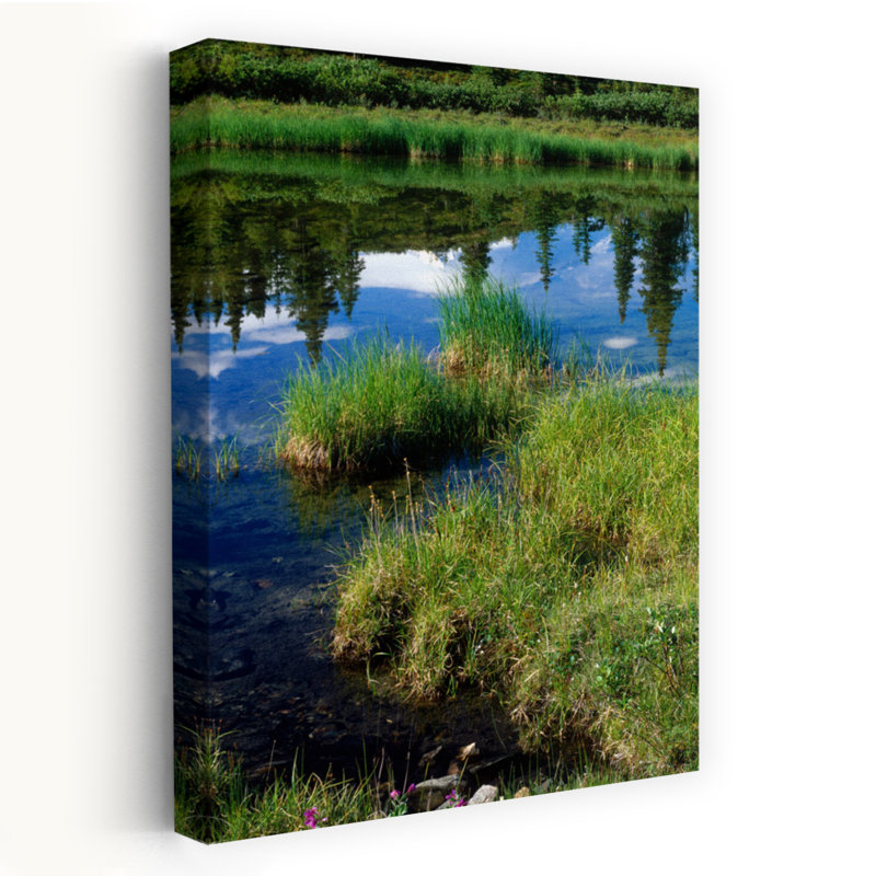 Reflet des pins dans l'eau avec une montagne enneigée en arrière-plan Parc national du Mont Mckinley Denali, Alaska, États-Unis