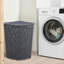 Jaliyah Plastic Laundry Hamper with Handles-1776210967