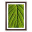 Leaf Pathways - Picture Frame Painting Print-55581492-55581493