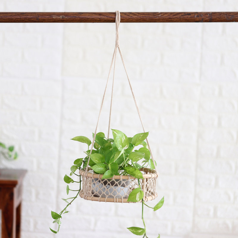 Pot à fleurs suspendu en coton Edlefsen