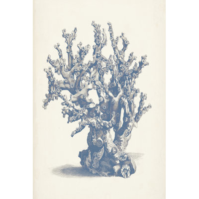 Antique Coral Collection V - Painting