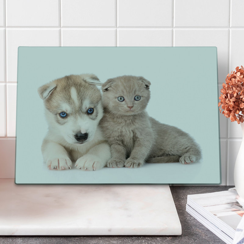 Planche à découper pour chien et chat Ambesonne